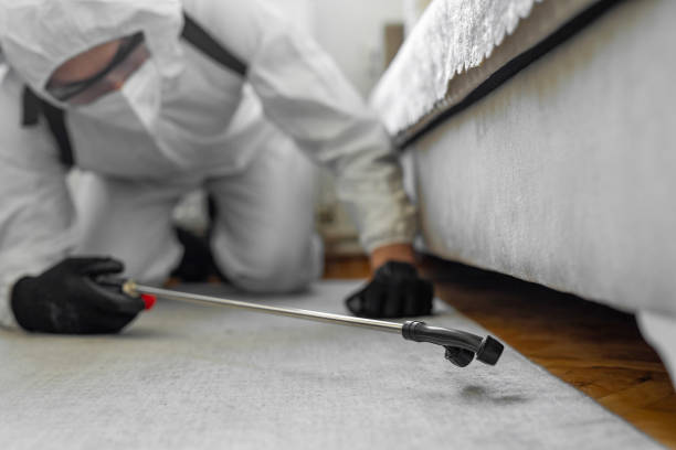 Professional Bed Bug Control technician working in Princeville, NC